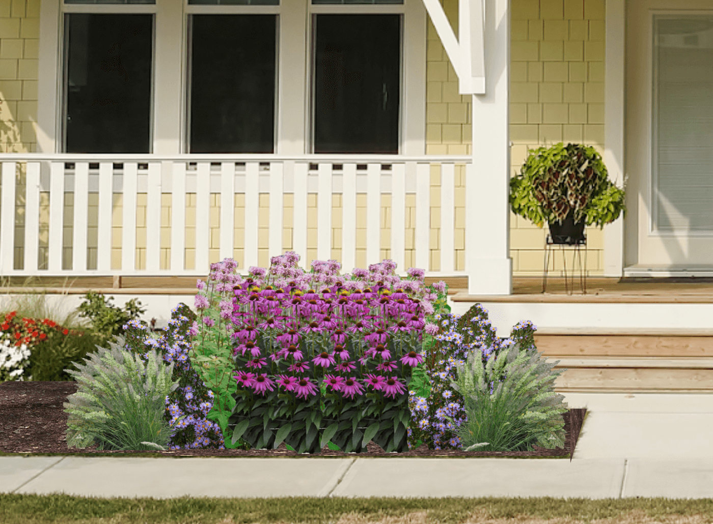 Purple and pink native plant garden in front of yellow house