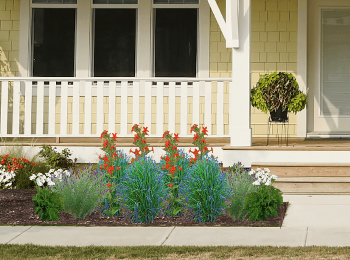 Red and purple native plant garden in front of a yellow house