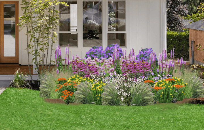 Multicolored native plant garden in front of white house