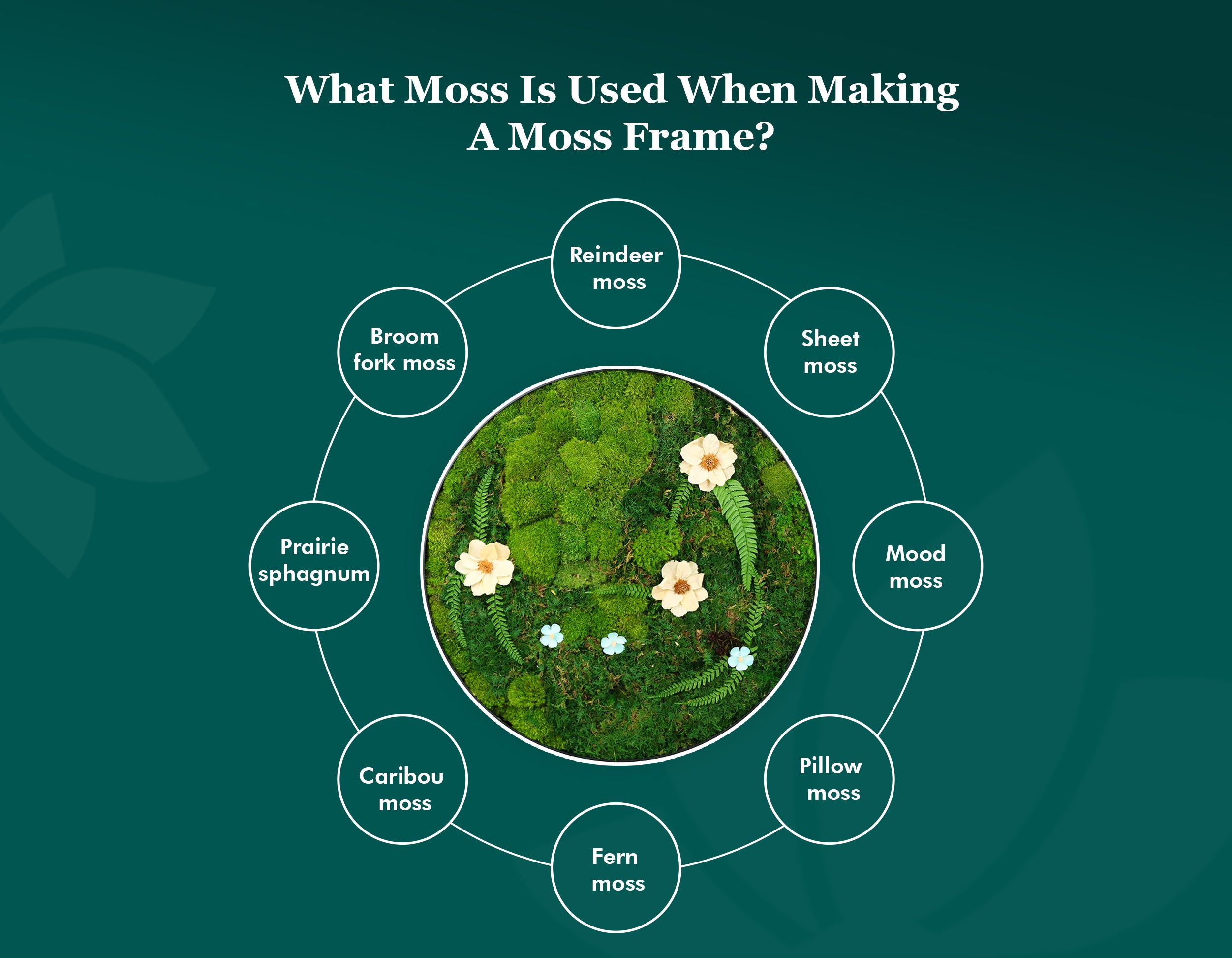 How to Make a Moss Frame