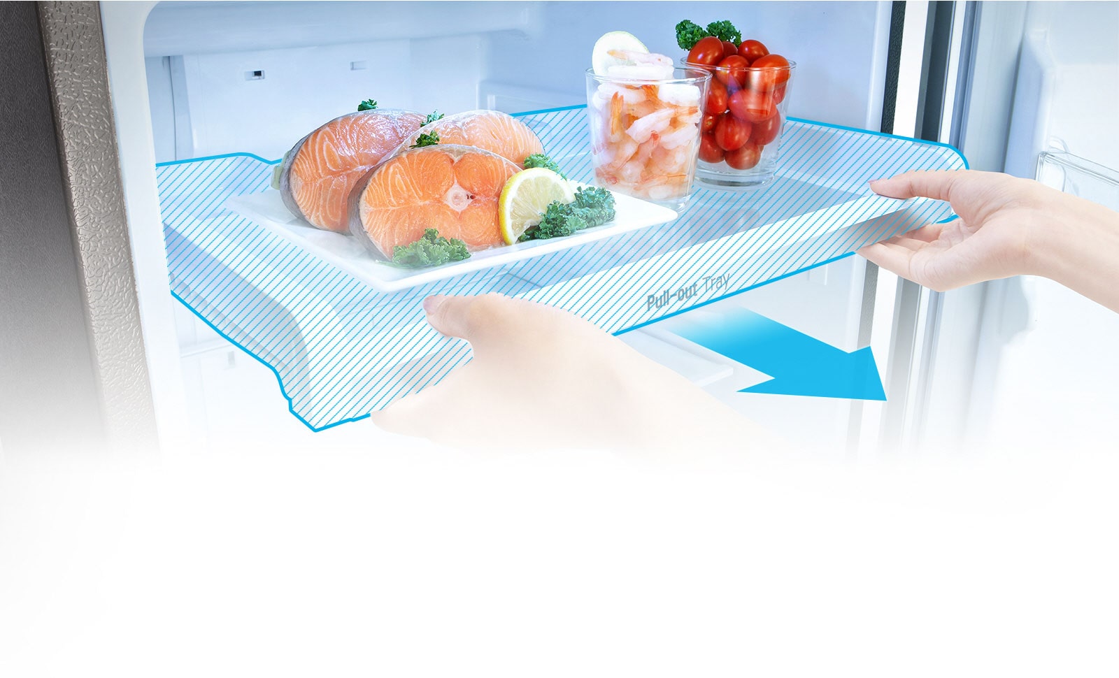 Shelf "Pull-out-Tray" 1