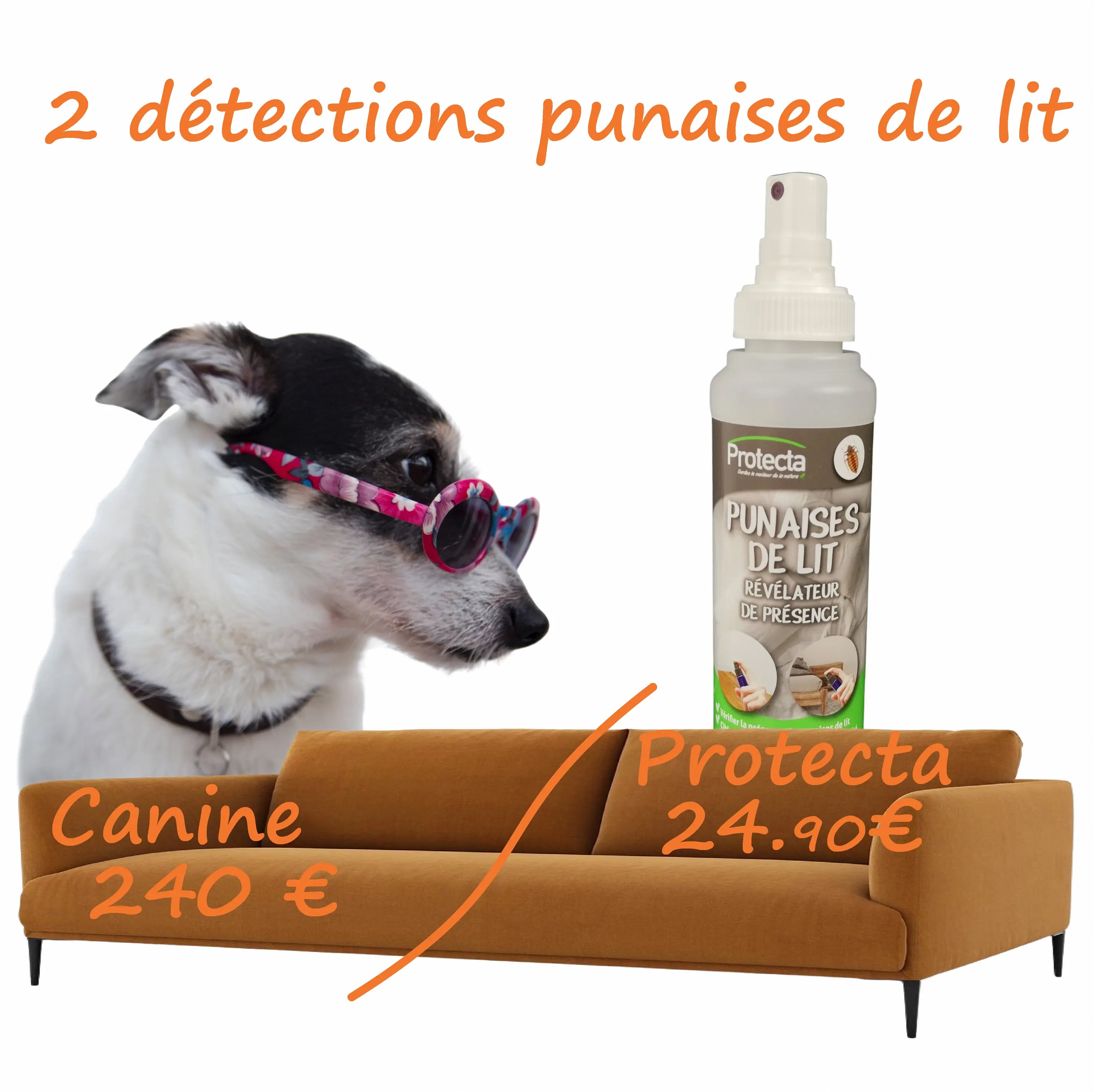 Détection punaises de lit moins cher