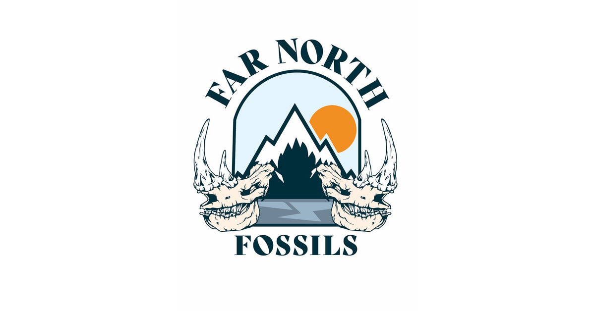 Far North Fossils