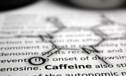 Koffein Struktur + Text