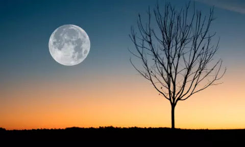 Vollmond mit schöner Landschaft