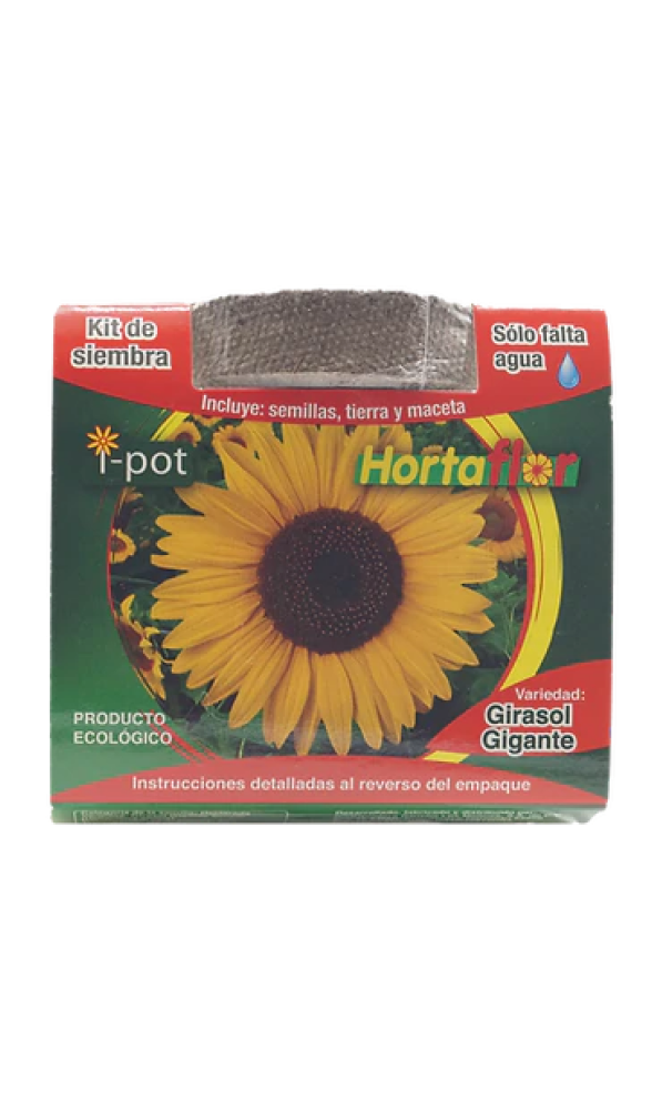 Ipot Girasol Gigante – Rancho los Molinos