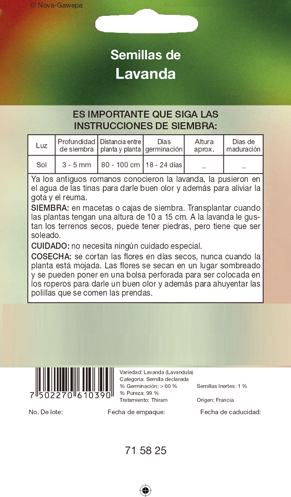 Lavanda – Rancho los Molinos