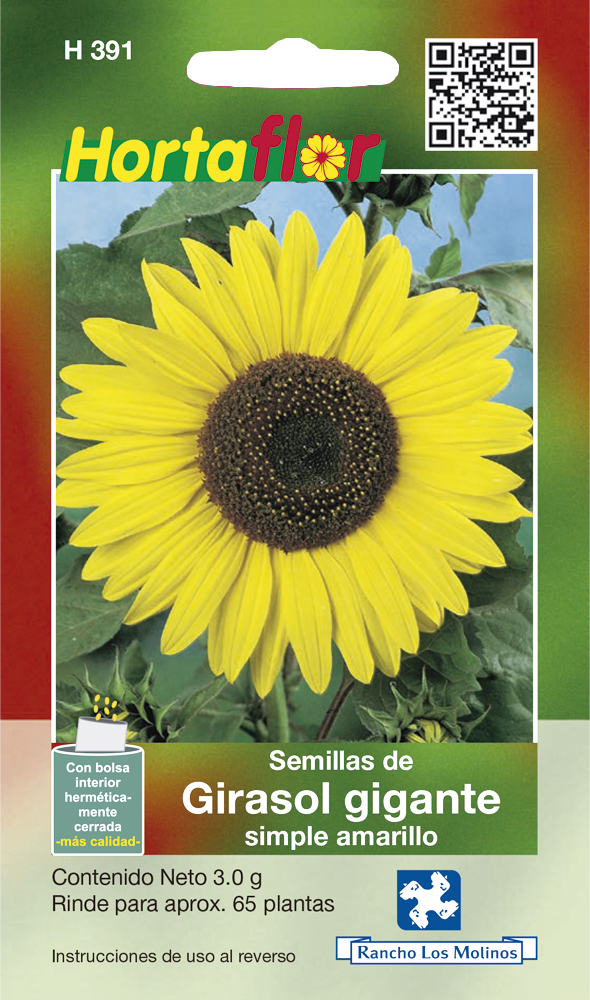 Girasol Gigante Simple Amarillo – Rancho los Molinos