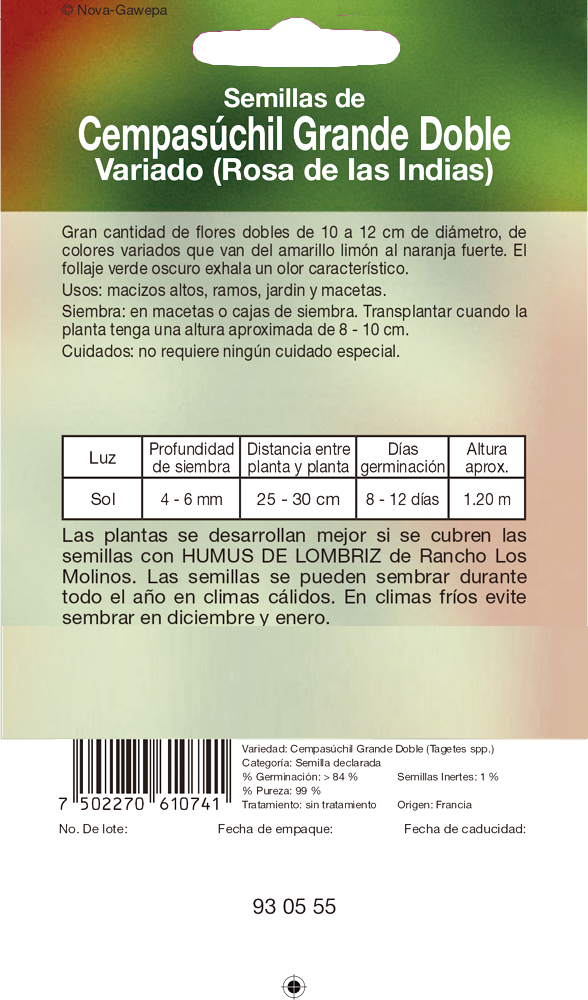 Cempasúchil Grande Doble Variado Rosa De Las Indias – Rancho los Molinos