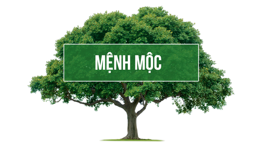 Mệnh mộc đeo nhẫn ngón nào