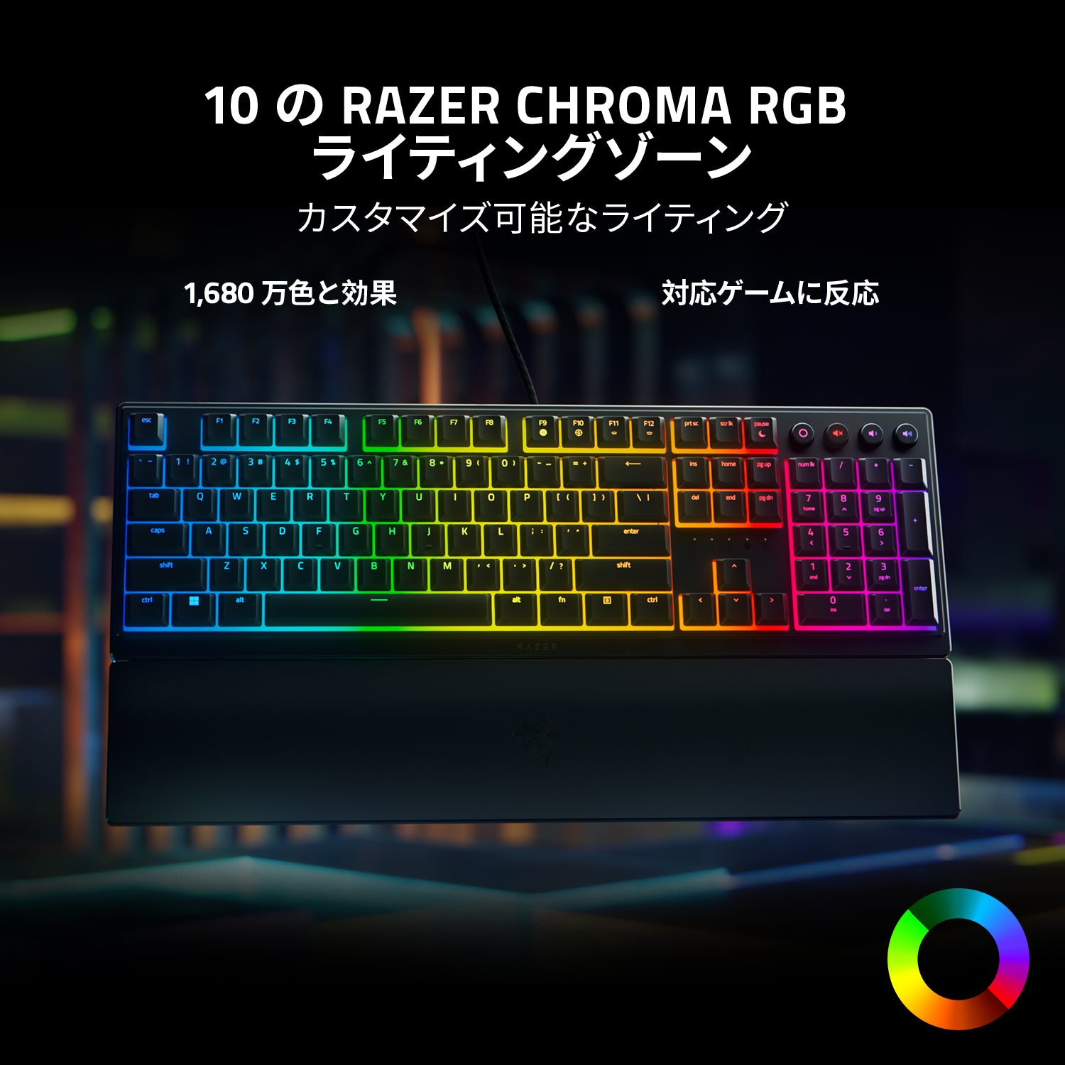 ラッピング無料 Razer ロゴ LED ライト www.vincihairclinic.com