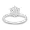 Alexandria – 6 Claw Pavé Round Solitaire - 18k White Gold