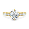 Amanda - 6 Claw Pavé Round Solitaire with Hidden Halo - 18k Yellow Gold