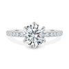 Alexandria – 6 Claw Pavé Round Solitaire - 18k White Gold