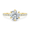 Alexandria – 6 Claw Pavé Round Solitaire - 18k Yellow Gold