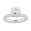 Alex – 4 Claw Triple Pavé Solitaire - 18k White Gold