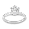 Siobhan - 6 Claw Round Solitaire with Hidden Halo and Collar - 18k White Gold