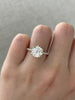 Alexandria – 6 Claw Pavé Round Solitaire Lifestyle Image