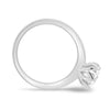 Tessa – Round Solitaire with Tulip Setting - 18k White Gold