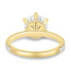 Amanda - 6 Claw Pavé Round Solitaire with Hidden Halo - 18k Yellow Gold