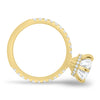 Amanda - 6 Claw Pavé Round Solitaire with Hidden Halo - 18k Yellow Gold