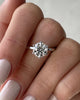 Aria - 6 Claw Round Solitaire with Hidden Halo Lifestyle Image