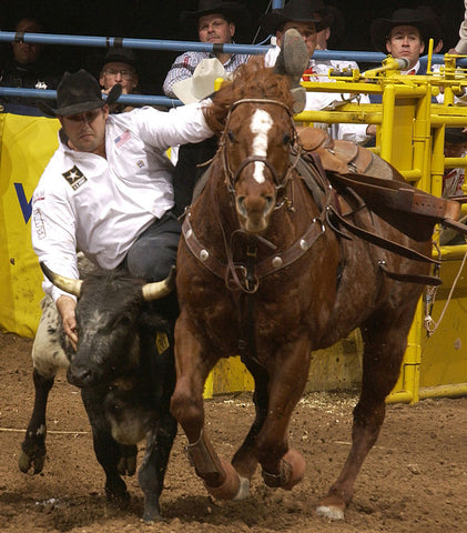 Luke Branquinho wrestles a steer in the third round of the 2004 National Finals Rodeo, Wikimedia