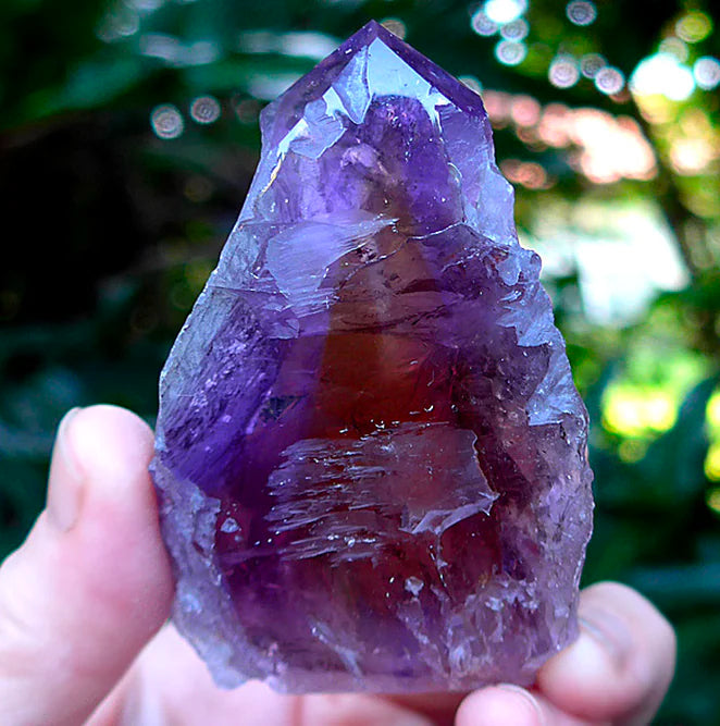 Deep Purple Amethyst Point, photo by Jane Sherry