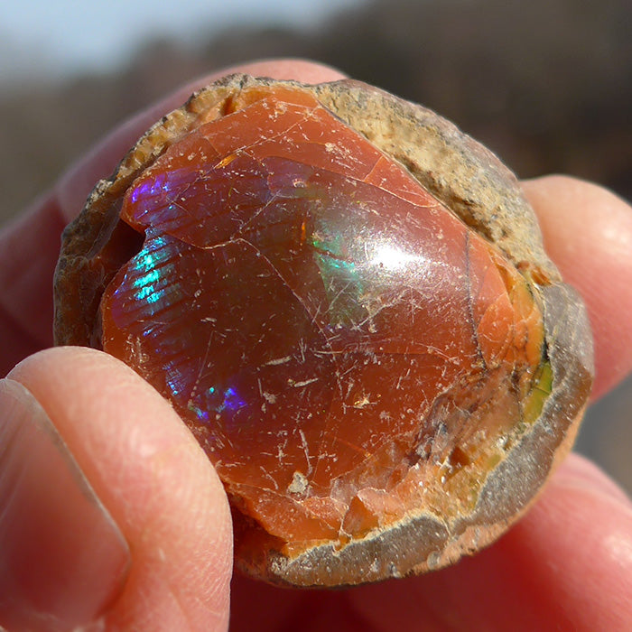 Spherical Orange Ethiopian Opal Specimen