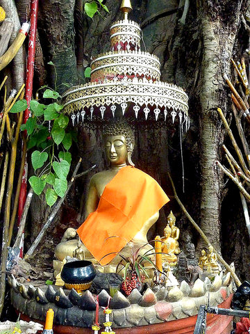 Buddha Under the Bodhi Tree, courtesy Wikimedia Commons