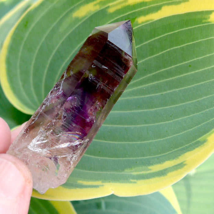 AAA Multi Phantom Isis Face Deep Violet Splash Smoky Brandberg Amethyst Wand