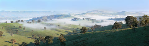 A misty morning in Ensay/Swifts Creek region in Australia. Wikimedia