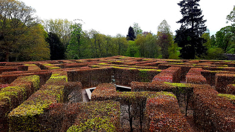 Murray Star Maze at Scone Palace in spring.