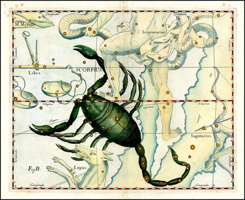 Constellation Scorpius, Star Map by Hevelius