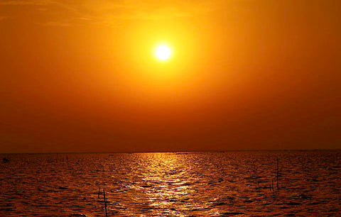  Sun rise at Sangupiddy Bridge, Wikimedia