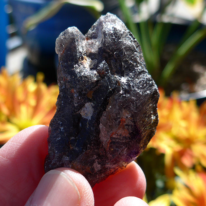 Auralite 23 Curved DT Specimen