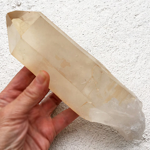 AAA Huge Golden Healer Lemurian Growth Interference Wand, courtesy Satya Center