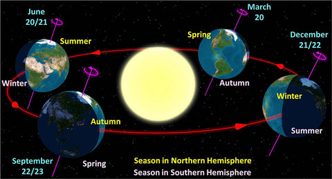 Seasons of the Earth as Seen From Space