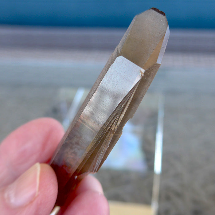 Shadow Lemurian Window Wand with Growth Interference Markings