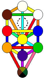 Tree of Life Diagram