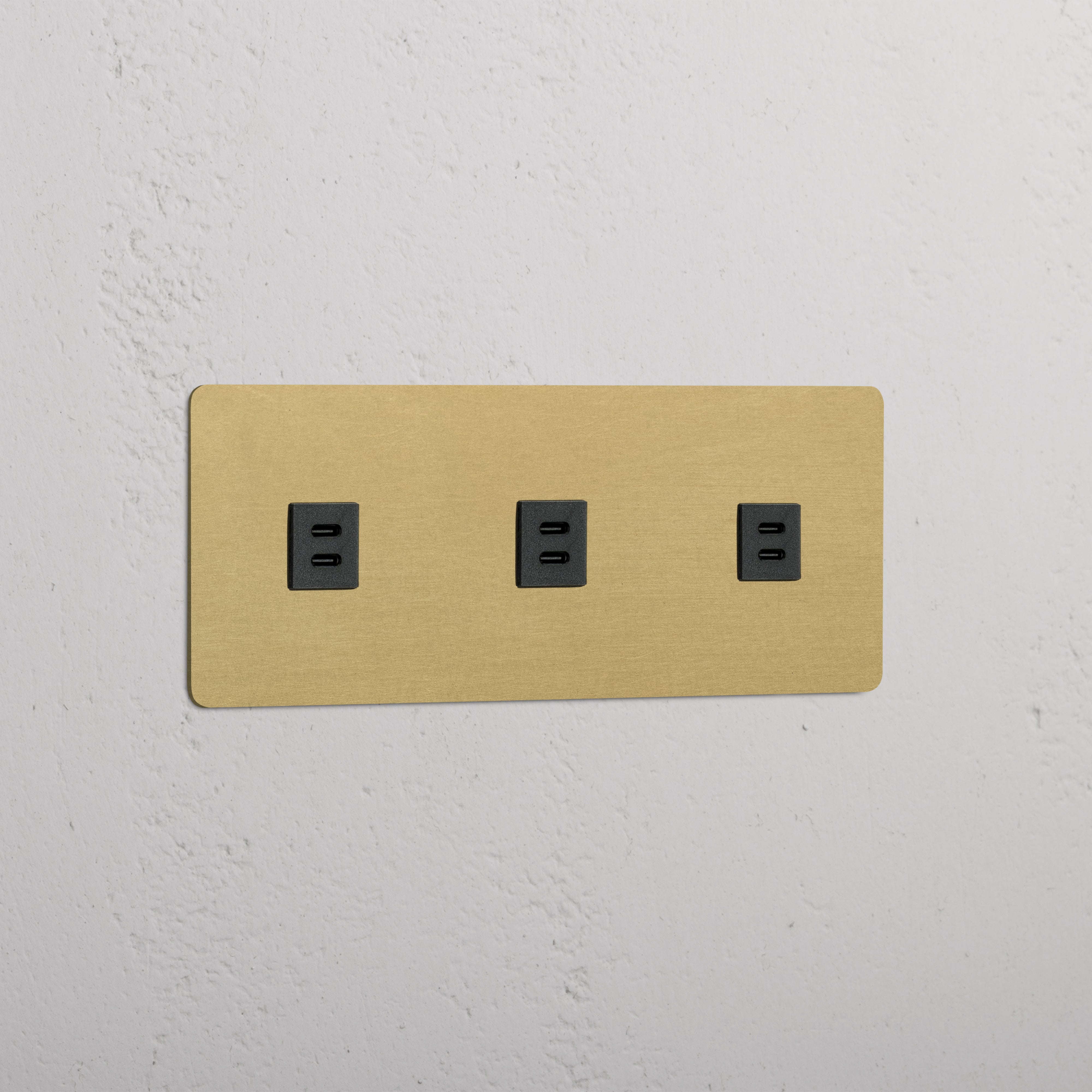 An image of Corston Architectural Detail | Prise USB-C 30W x3 (Plaque Triple) | Laiton Ancie...
