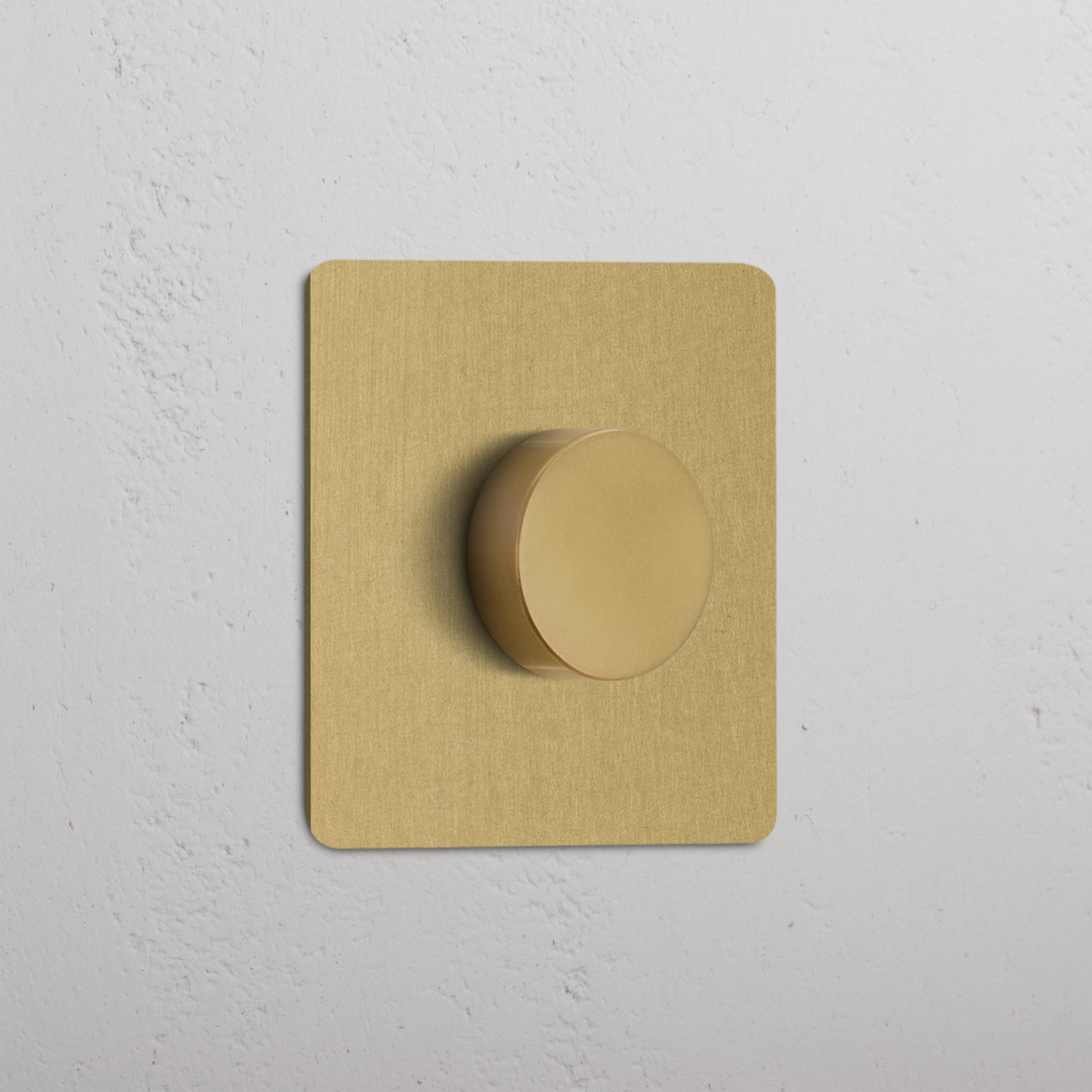 An image of Corston Architectural Detail | Variateur (Plaque Simple) | Laiton Ancien | Inter...