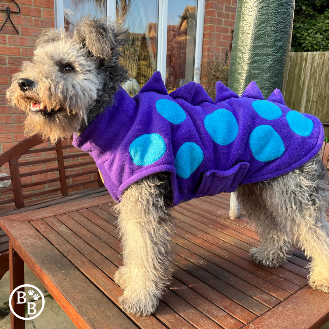 dinosaur dog coat