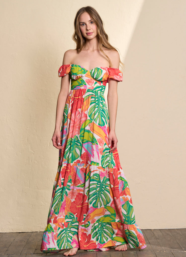 Sky Garden Jillian Long Dress – Bella Kini