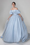 Off the Shoulder Corset Waistline Lace-Up Tulle Ball Gown Wedding Dress with a Chapel Train With a Bow(s) and Ruffles