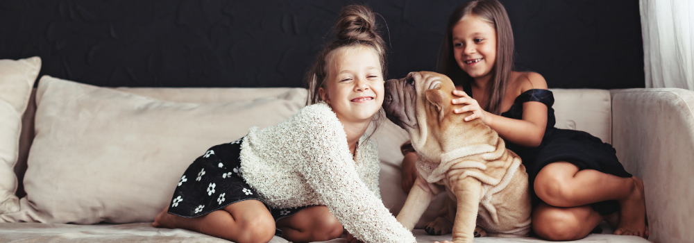 Two little girls and a puppy playing on a couch.
