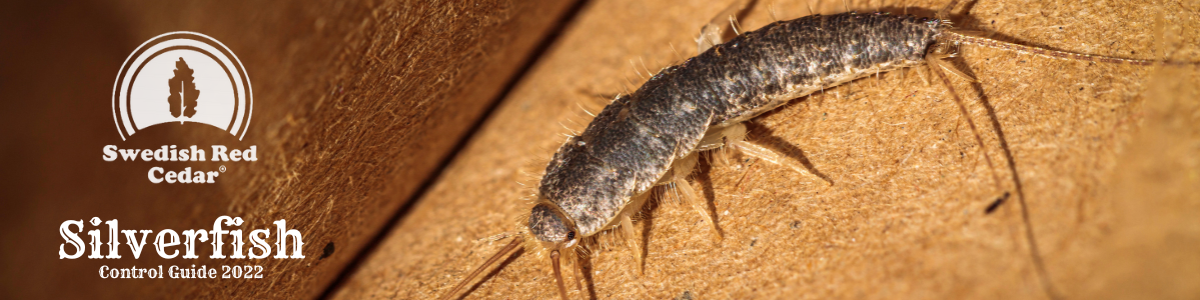 Silverfish Control Guide 2022