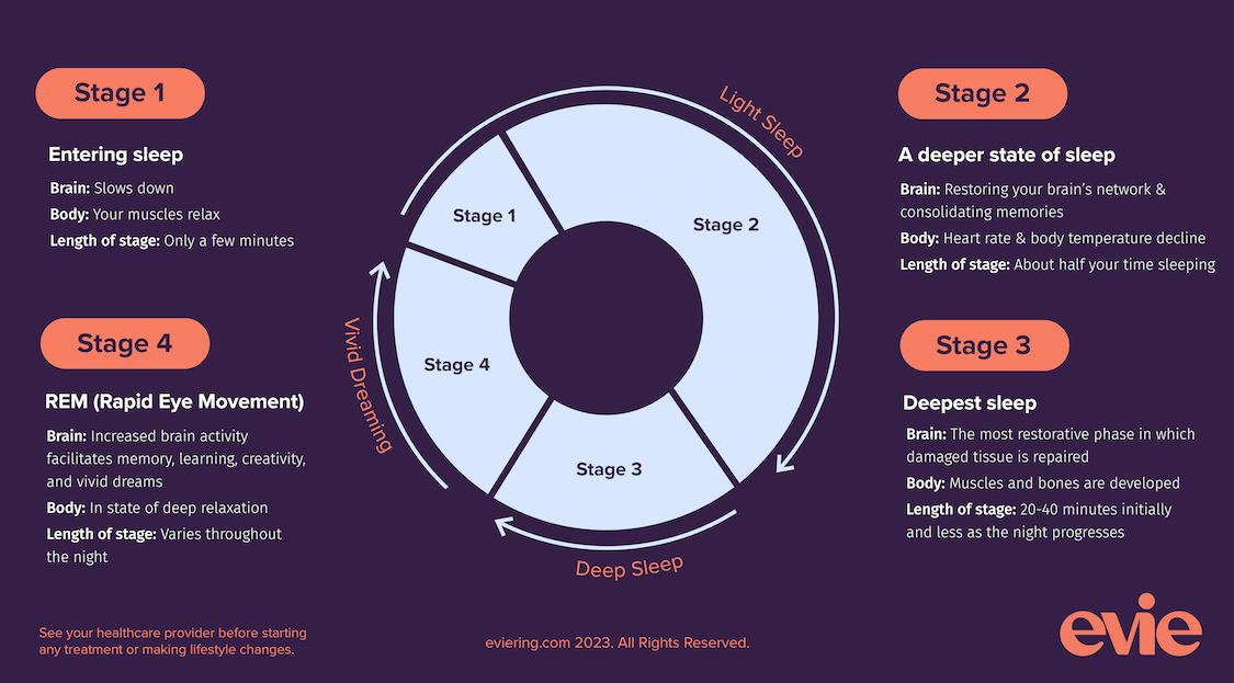 Sleep stages