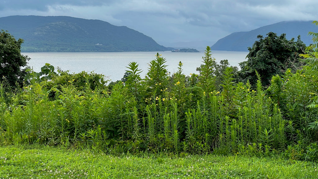 A panoramic view of the Hudson River