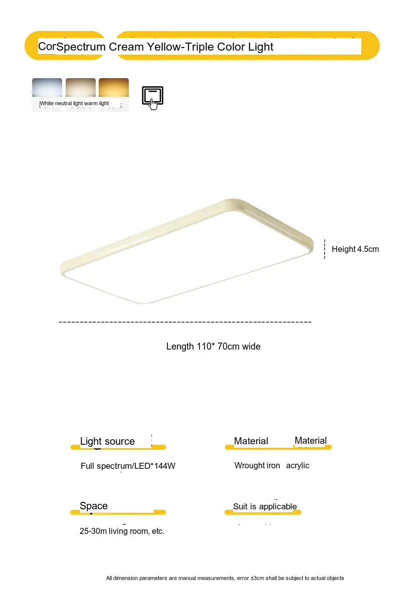 NEWVILLE Aisthea Elegant Minimalist Ceiling Light
